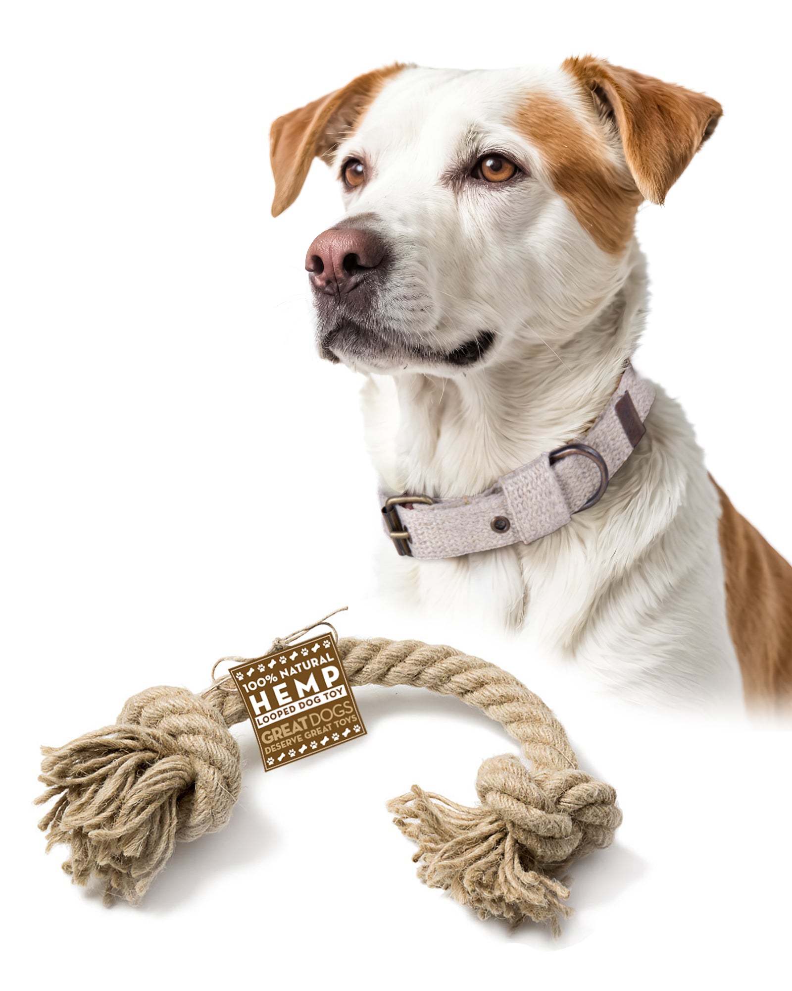 Hemp Pet Collar & Rope Pull Toy Bundle