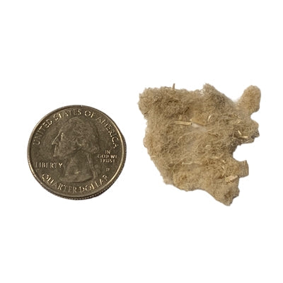 American Hemp Short Fiber – 0.5 Inch