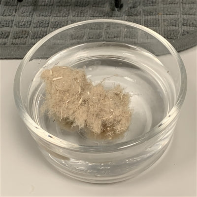 American Hemp Short Fiber – 0.5 Inch