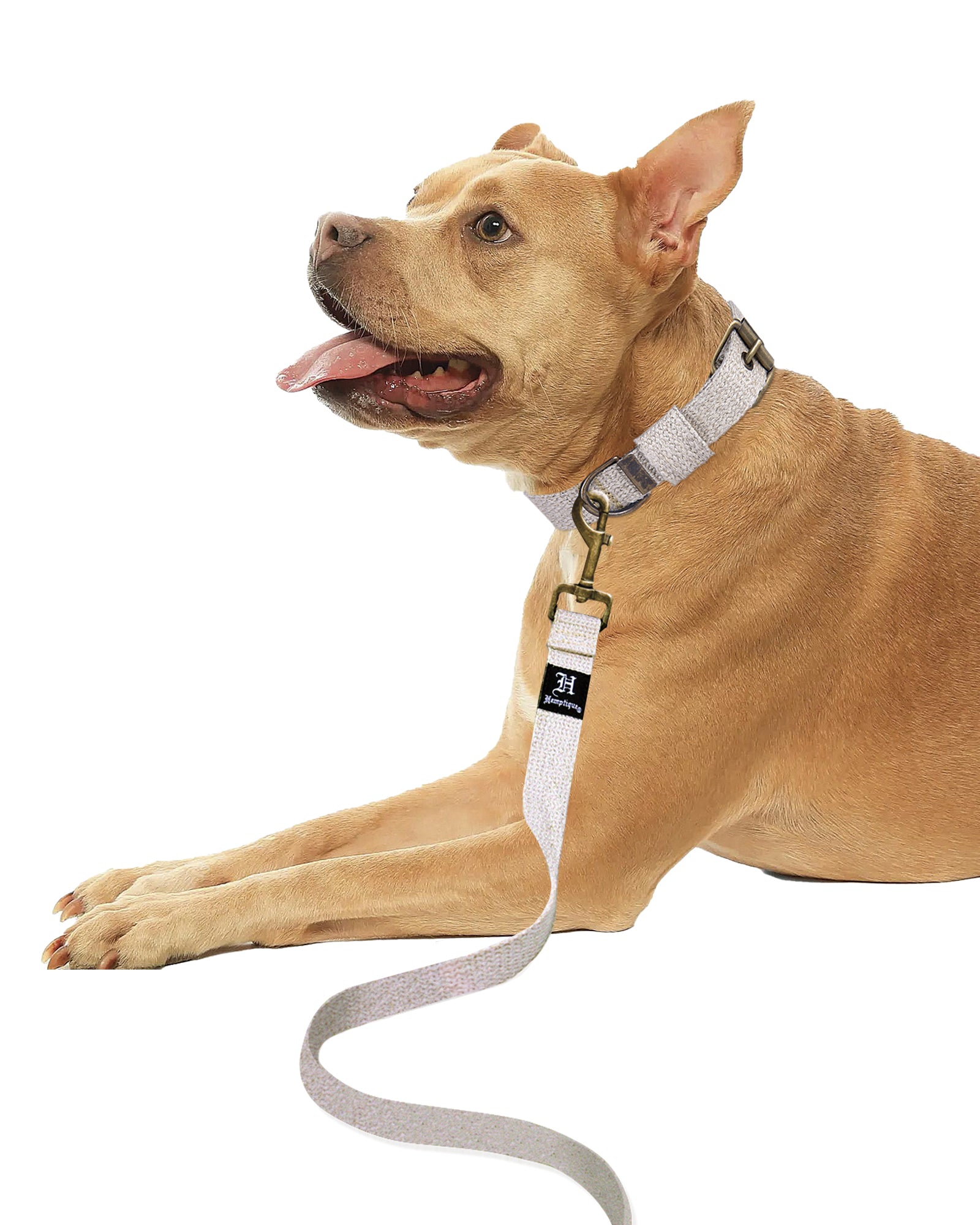 Hemp Pet Collar &amp; Leash Bundle